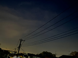 今年初のミゾゴイの鳴き声