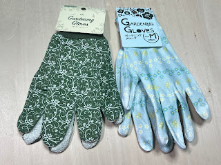 ダイソー買いめぐりの旅