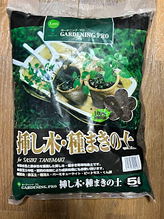 挿し木用の土とプラグトレイを買ってきた