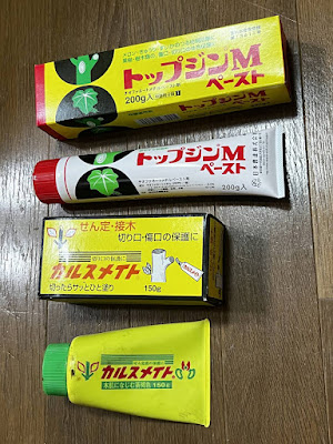 カミキリムシの幼虫（テッポウムシ）の駆除後、切り口にカルスメイトやトップジンMペーストを塗布