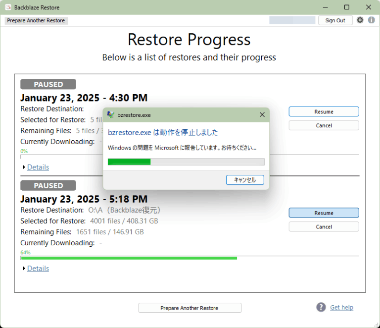 Backblaze復元アプリ（Backblaze Restore App）のエラー回避方法