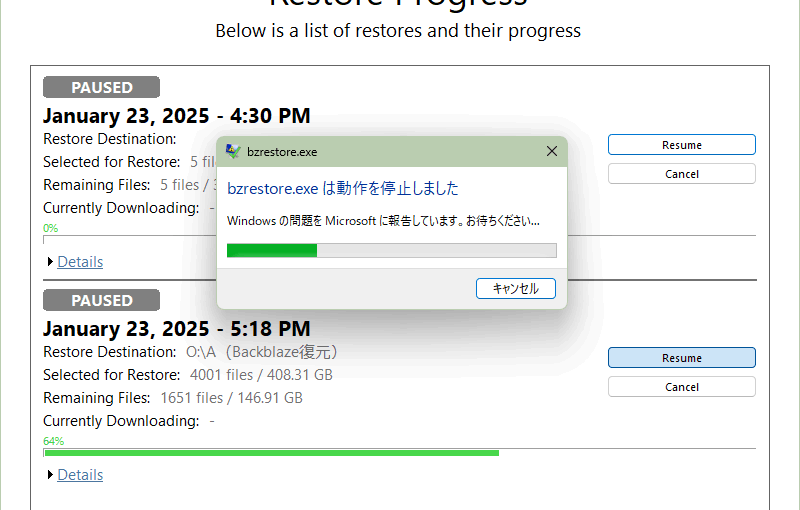 Backblaze復元アプリ（Backblaze Restore App）のエラー回避方法