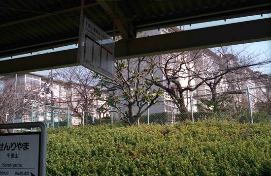 吹田 団地めぐり(千里ニュータウン)