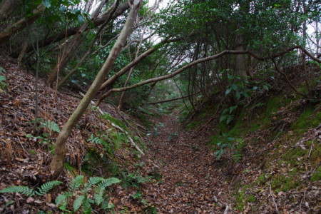 2009年1月14日 日立鉱山電車廃線跡めぐりと周辺散策