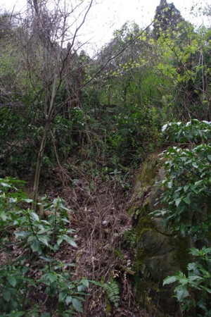 2009年1月14日 日立鉱山電車廃線跡めぐりと周辺散策