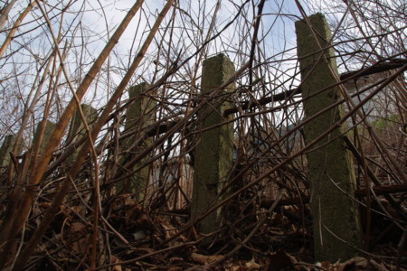 2009年1月14日 日立鉱山電車廃線跡めぐりと周辺散策