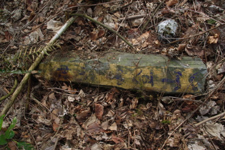 2009年1月14日 日立鉱山電車廃線跡めぐりと周辺散策