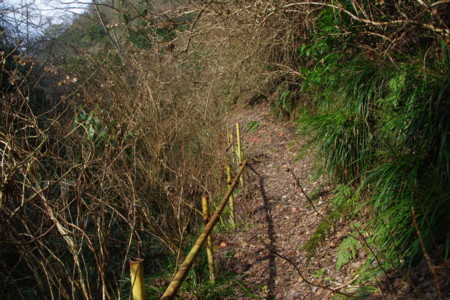 2009年1月14日 日立鉱山電車廃線跡めぐりと周辺散策