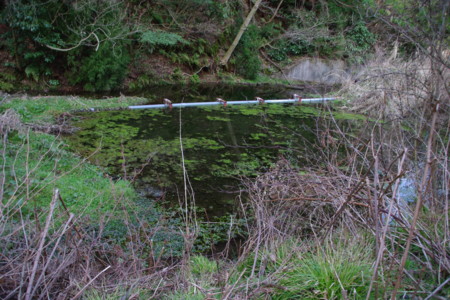 2009年1月14日 日立鉱山電車廃線跡めぐりと周辺散策