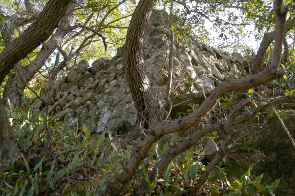 大仁駅~水晶山・神武天皇遥拝所~帝産大仁金山跡~修善寺駅 徒歩めぐり