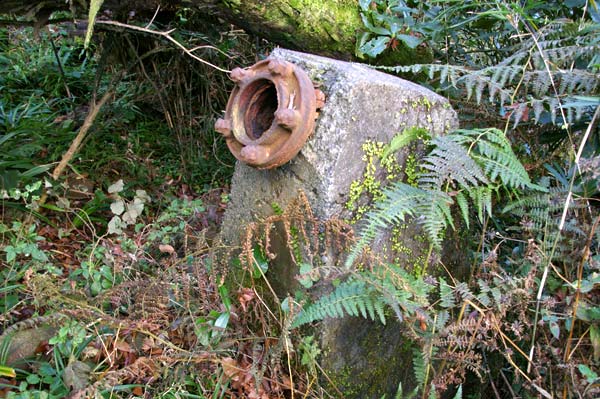 大仁駅~水晶山・神武天皇遥拝所~帝産大仁金山跡~修善寺駅 徒歩めぐり
