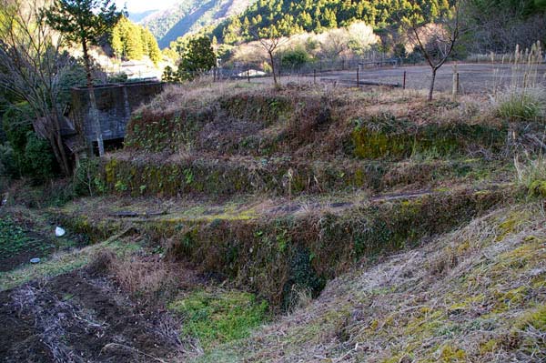 湯ヶ島の古い商店街~瑞祥閣~世古峡~湯ケ島坑跡(廃金山)~世古の大湯(共同浴場)めぐ