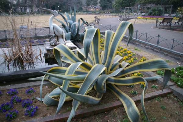 日比谷公園 ペリカン噴水