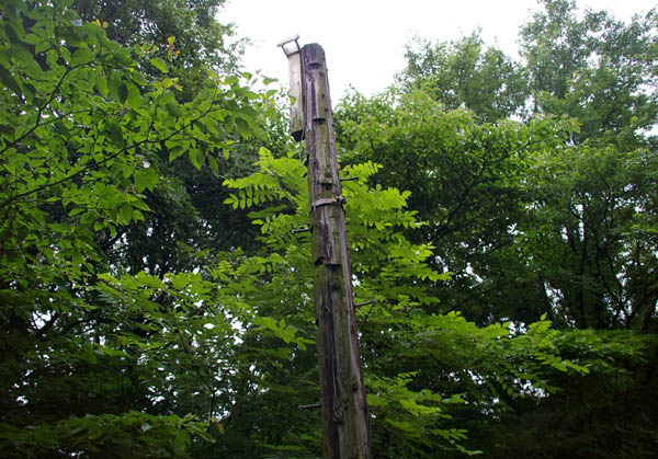 国立天文台 三鷹キャンパス