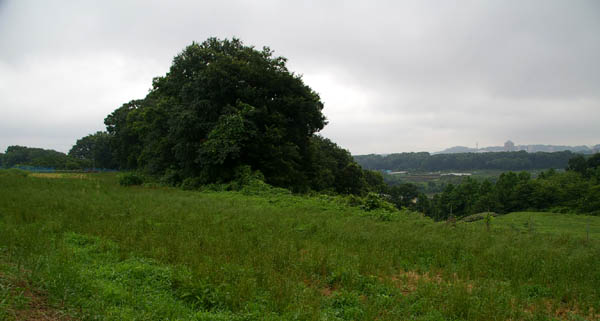 小比企地下壕跡(三鷹航空機工業小比企疎開地下工場跡)