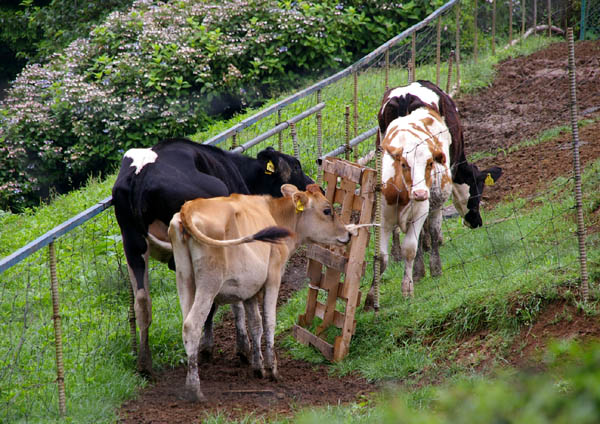小比企地下壕跡(三鷹航空機工業小比企疎開地下工場跡)