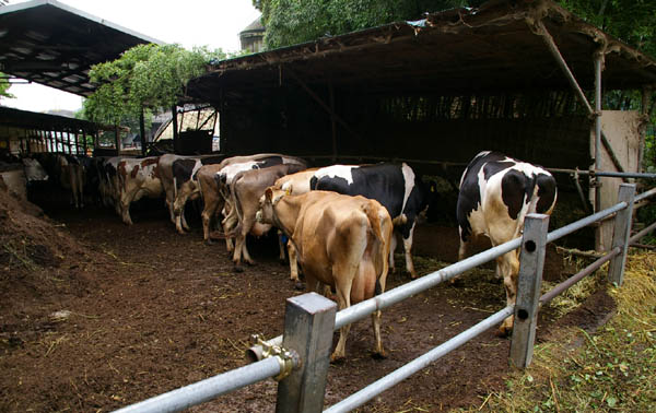 小比企地下壕跡(三鷹航空機工業小比企疎開地下工場跡)