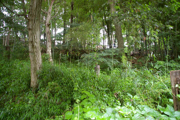 小比企地下壕跡(三鷹航空機工業小比企疎開地下工場跡)