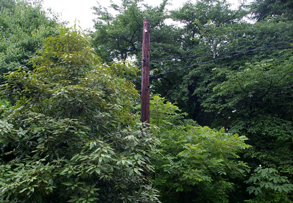 国立天文台 三鷹キャンパス