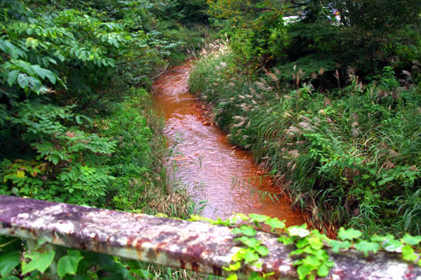 花岡桜町の町並み