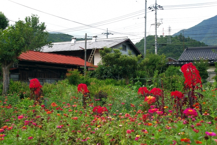 中央本線旧線めぐり(鳥沢駅~猿橋駅間)