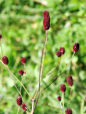 中央本線旧線(信濃境~富士見)