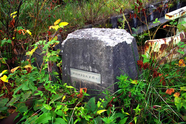 花岡サテライトハイツ