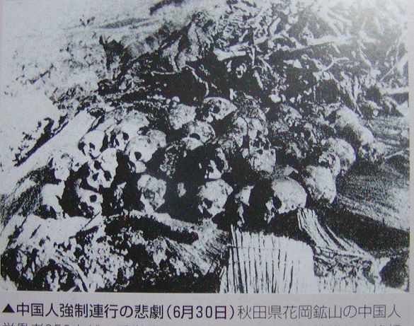 大量に出土した中国人労働者の遺骨