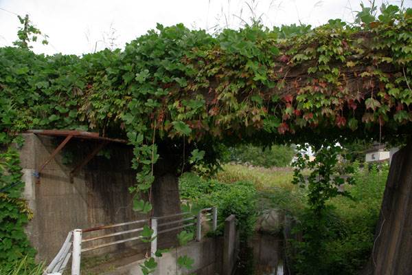 坂鉄道・花岡線 廃線跡めぐり