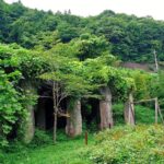 群馬鉄山専用線　旧国鉄長野原線　太子駅跡