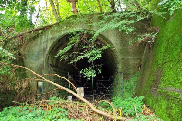 旧国鉄長野原線 太子駅跡