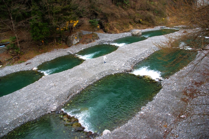 夫婦橋&マス釣り場付近の日原川