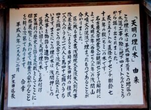 天明の埋れ木 由来