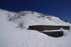 山頂から下ってきた。