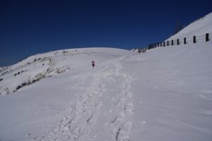 志賀草津道路にたどり着くと、雪の吹き溜まりになっていて、道路標識が頭だけ出していた。標識がなければ道路だとはわからない。