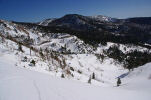 下に道路標識が見える。