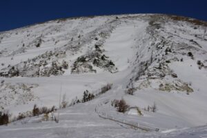 ガードレールで道路だとわかる。