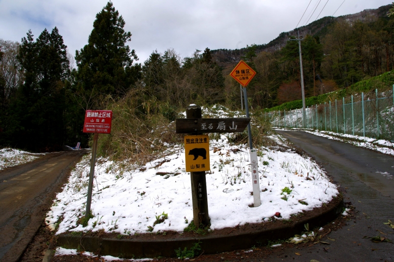 扇山(おうぎやま) 登山 標高1137.8m 初春
