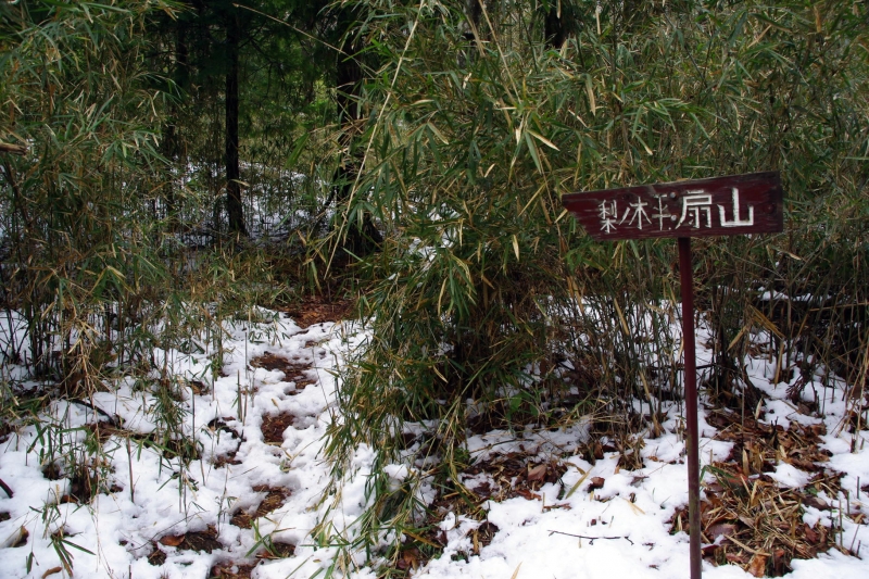 扇山(おうぎやま) 登山 標高1137.8m 初春