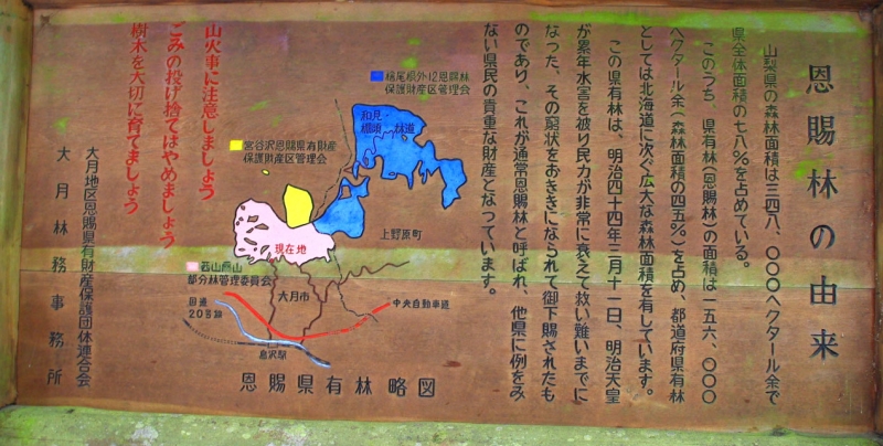 扇山(おうぎやま) 登山 標高1137.8m 初春