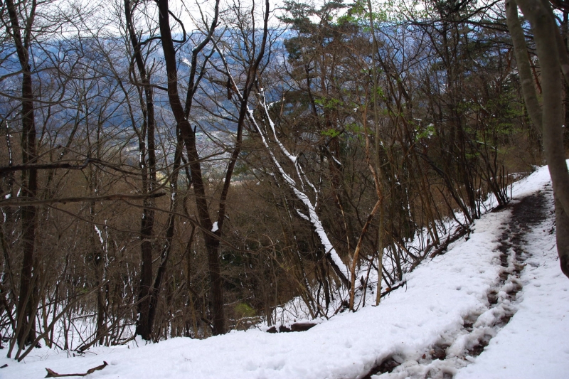 扇山(おうぎやま) 登山 標高1137.8m 初春