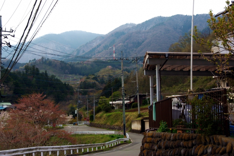 扇山(おうぎやま) 登山 標高1137.8m 初春