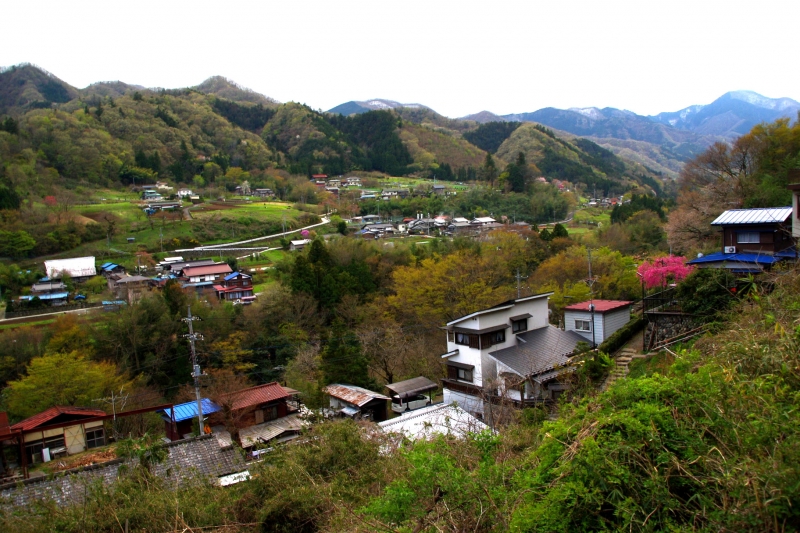 扇山(おうぎやま) 登山 標高1137.8m 初春