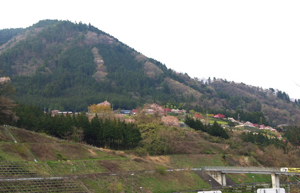 扇山(おうぎやま) 登山 標高1137.8m 初春