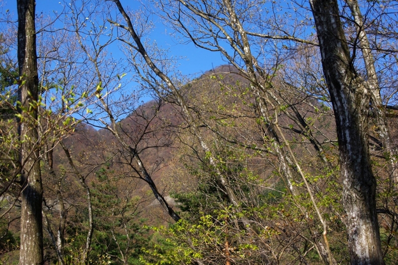 鶴ヶ鳥屋山(つるがとやさん)登山~宝鉱山めぐり