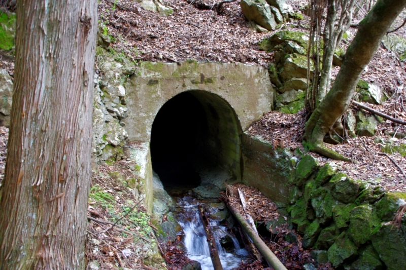 鶴ヶ鳥屋山(つるがとやさん)登山~宝鉱山めぐり