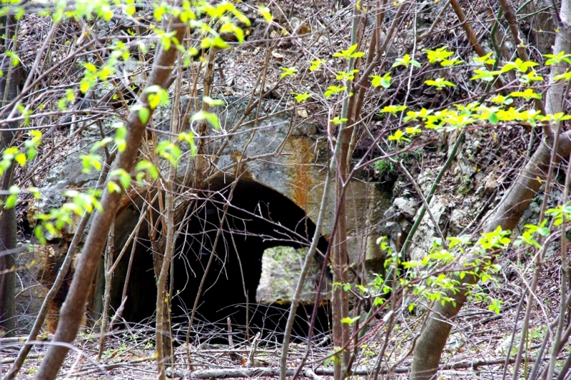 鶴ヶ鳥屋山(つるがとやさん)登山~宝鉱山めぐり
