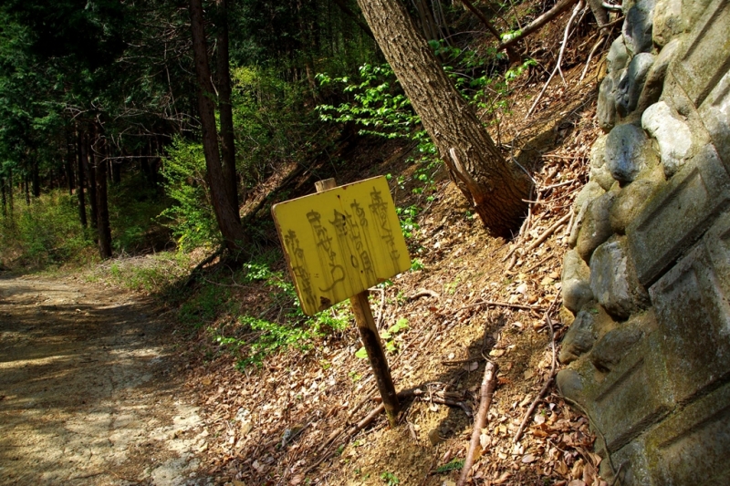 鶴ヶ鳥屋山(つるがとやさん)登山~宝鉱山めぐり