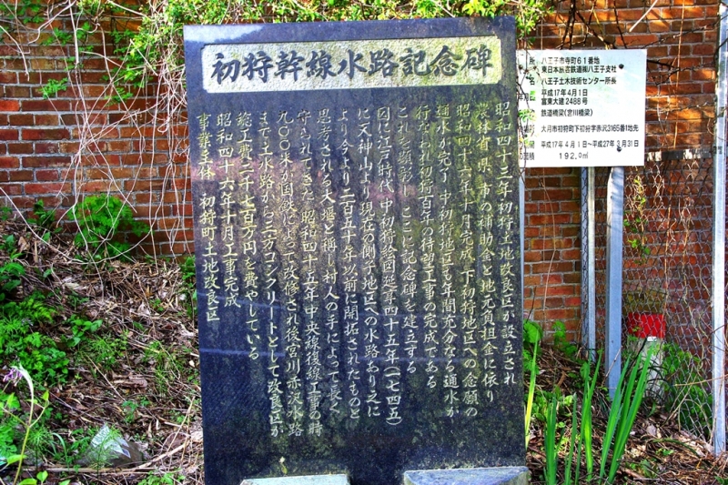 鶴ヶ鳥屋山(つるがとやさん)登山~宝鉱山めぐり