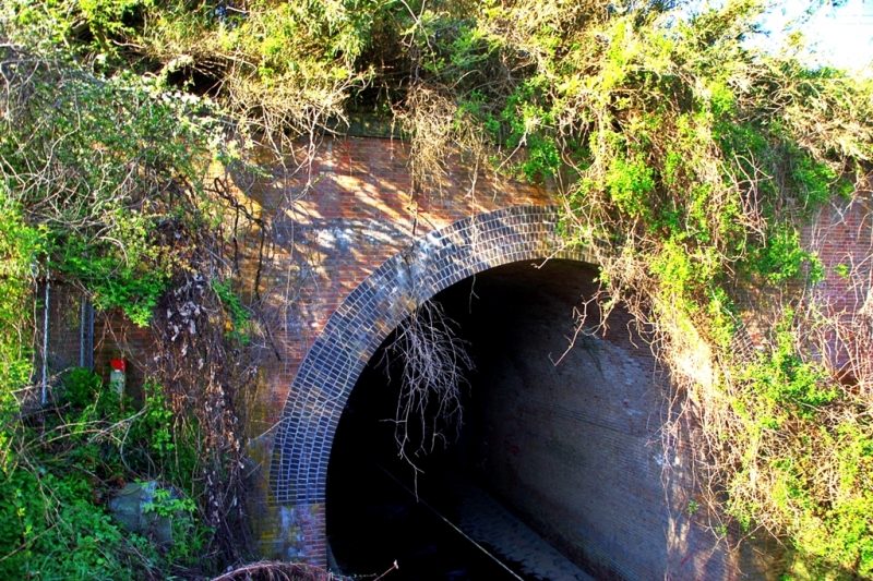 鶴ヶ鳥屋山(つるがとやさん)登山~宝鉱山めぐり